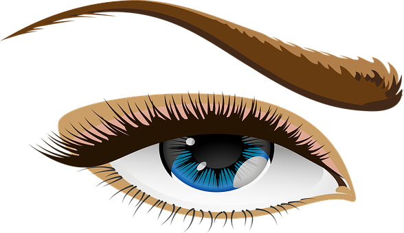 Stylized Human Eye Illustration