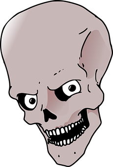 Stylized Human Skull Illustration