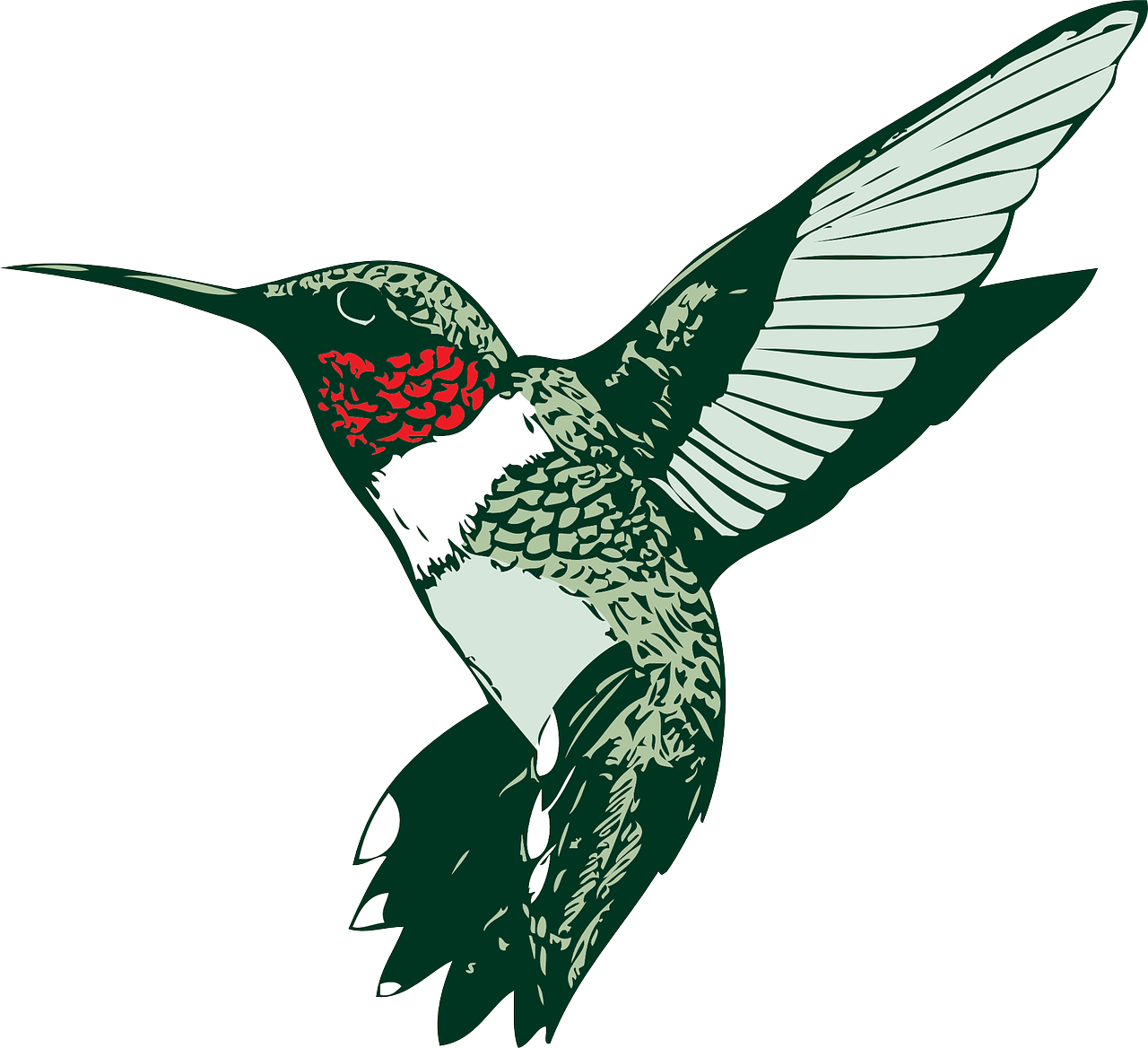 Stylized Hummingbird Illustration