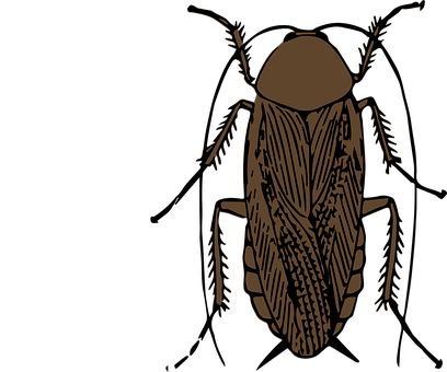 Stylized Insect Illustration