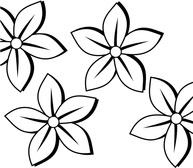 Stylized Jasmine Flower Illustration