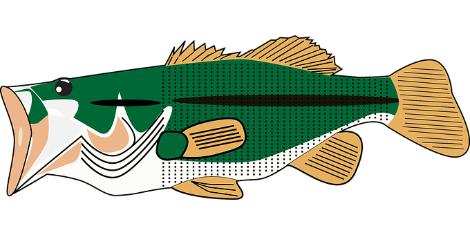 Stylized Largemouth Bass Illustration