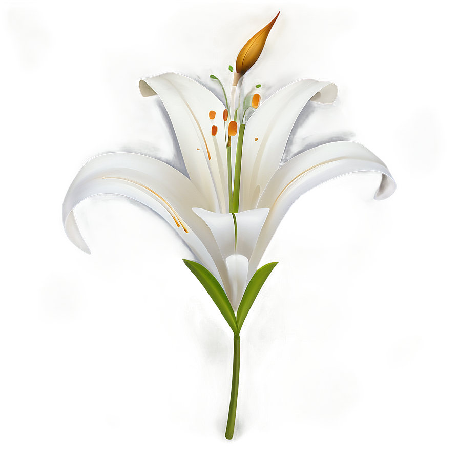 Stylized Lily Flower Png 49