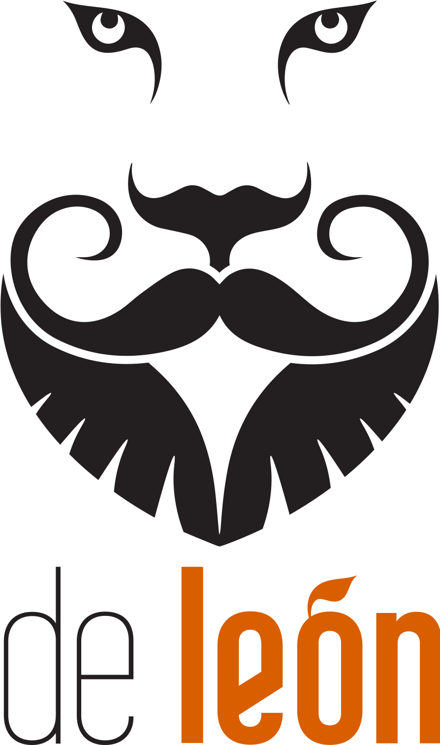 Stylized Lion Logo Design