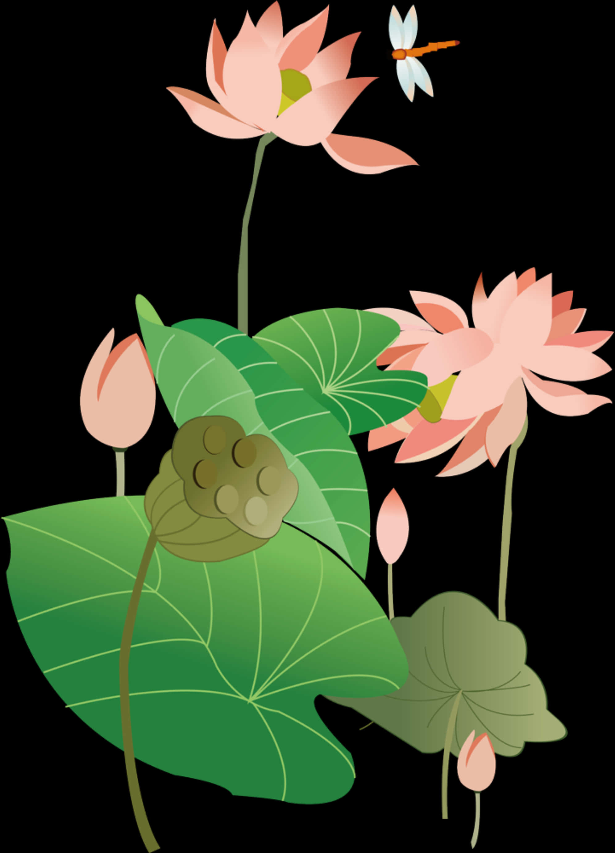 Stylized Lotus Flowersand Dragonfly