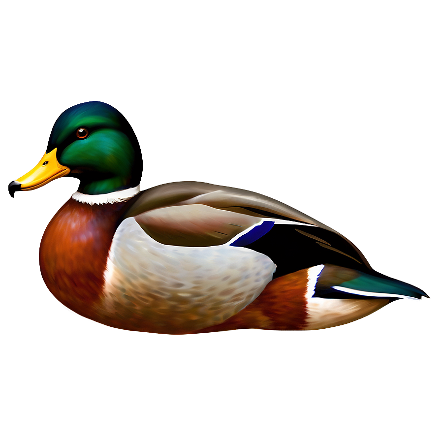 Stylized Mallard Duck Png Nom96