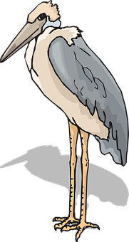 Stylized Marabou Stork Illustration