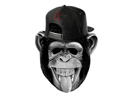 Stylized Monkeywith Cap