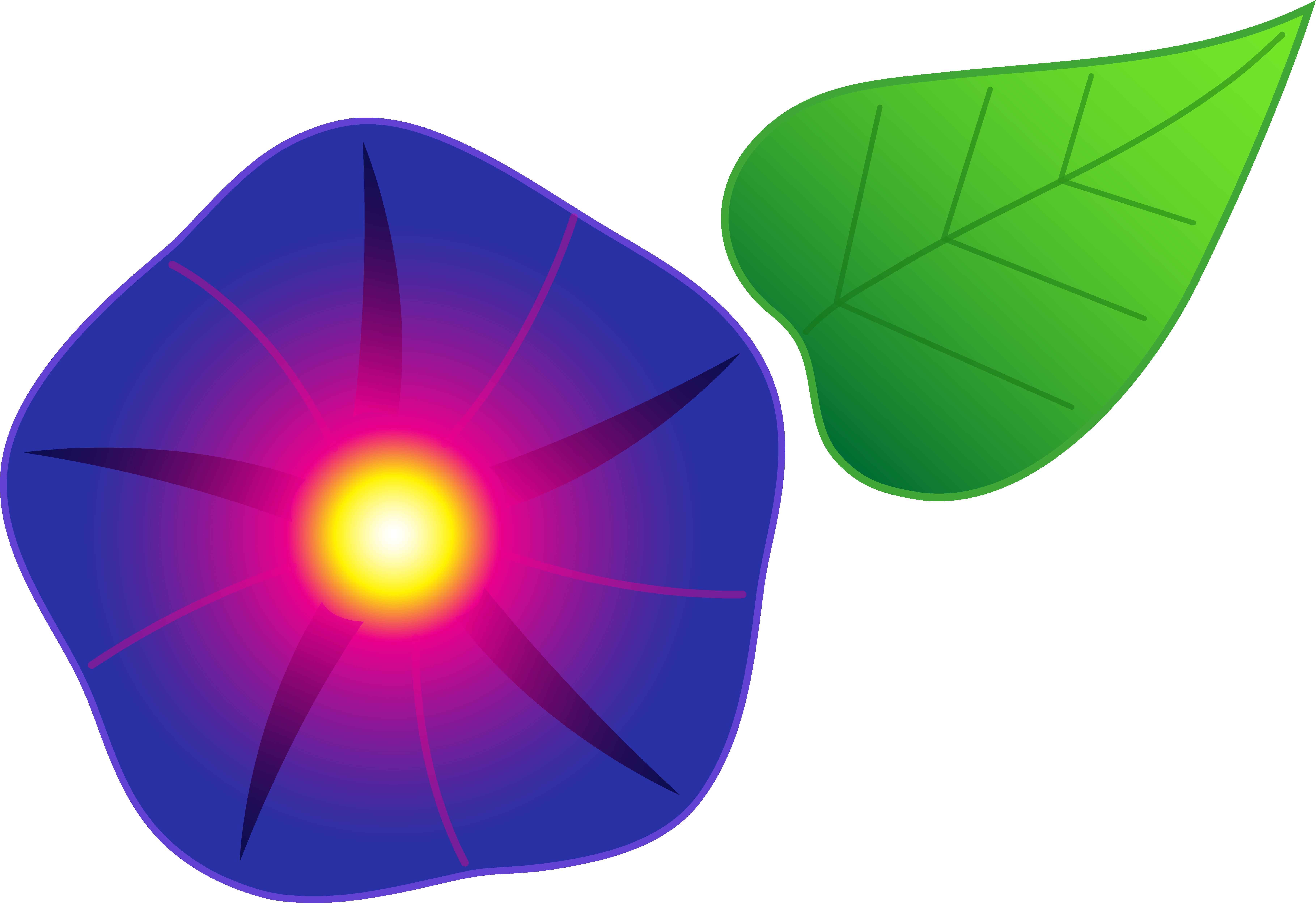 Stylized Morning Glory Graphic