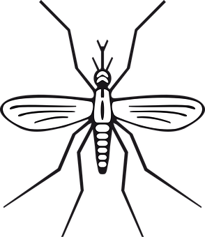 Stylized Mosquito Illustration