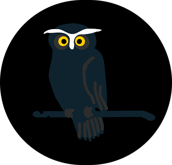 Stylized Night Owl Graphic