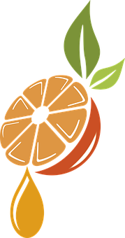 Stylized Orange Slice Art