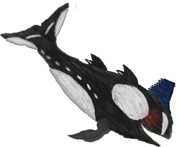 Stylized Orca Drawing