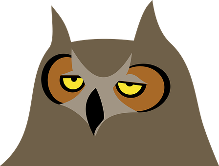 Stylized Owl Graphic
