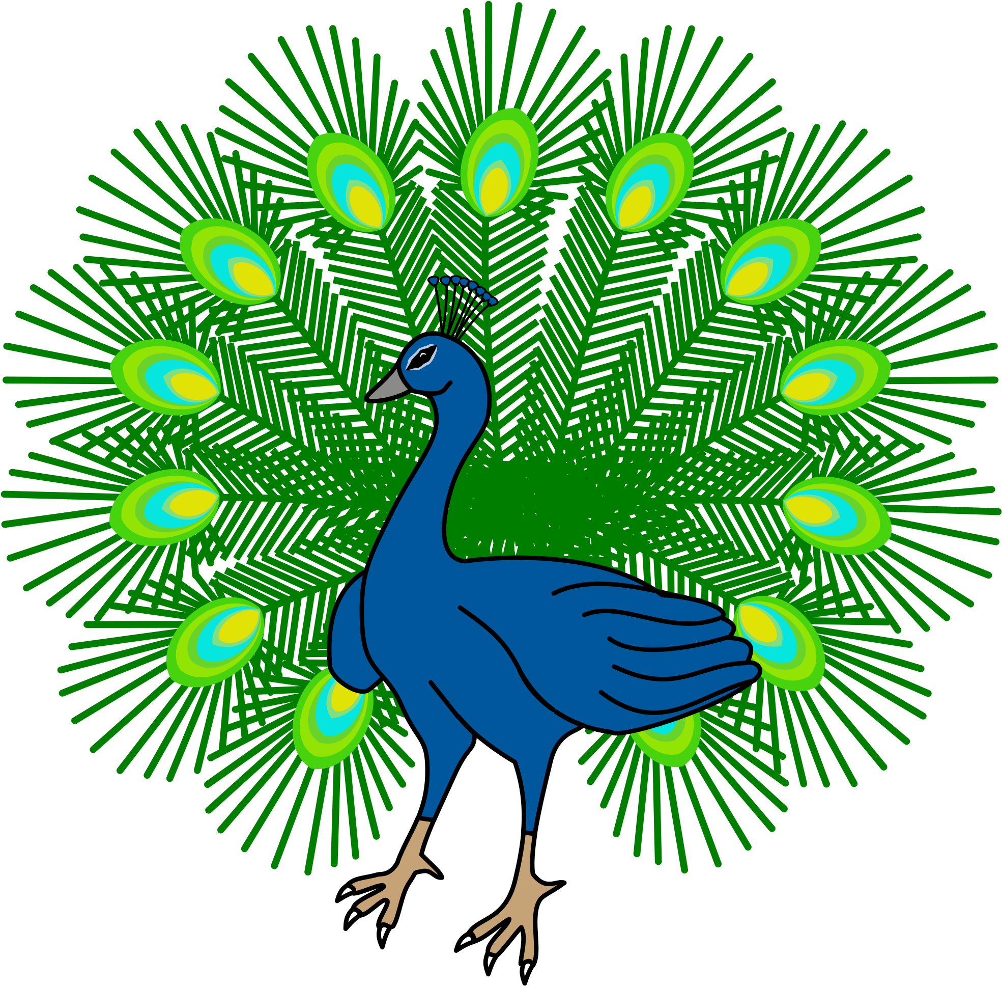 Stylized Peacock Illustration