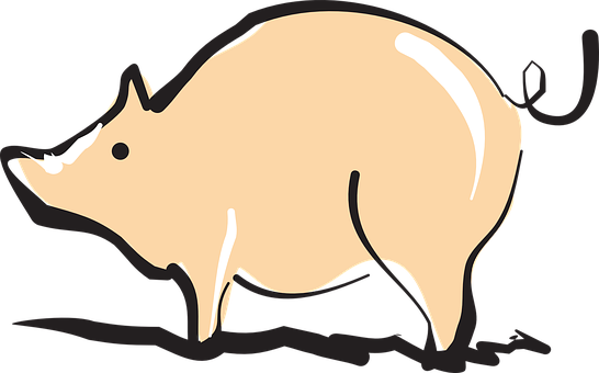 Stylized Pig Illustration