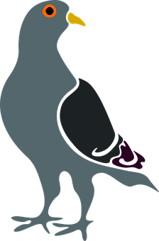 Stylized Pigeon Graphic