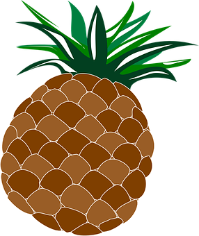 Stylized Pineapple Graphic