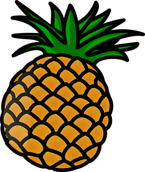 Stylized Pineapple Graphic