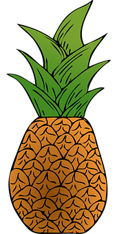 Stylized Pineapple Illustration