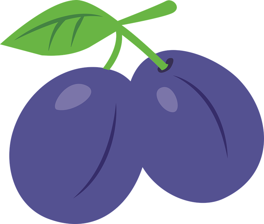 Stylized Plum Illustration