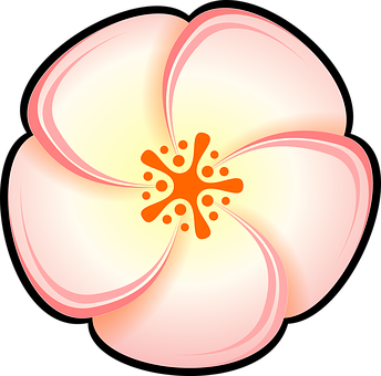 Stylized Plumeria Flower Illustration