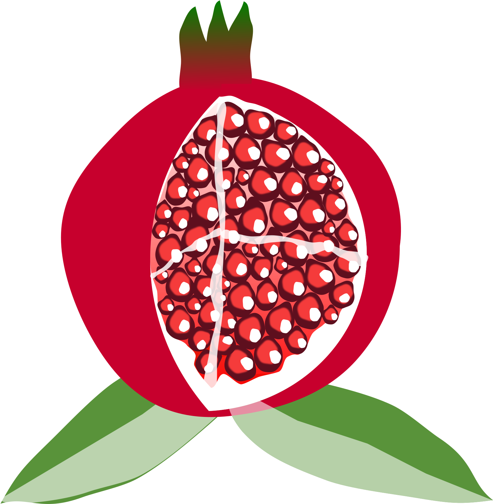 Stylized Pomegranate Illustration