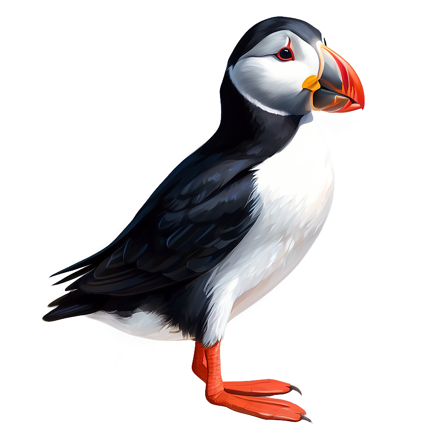 Stylized Puffin Graphic Png 06292024