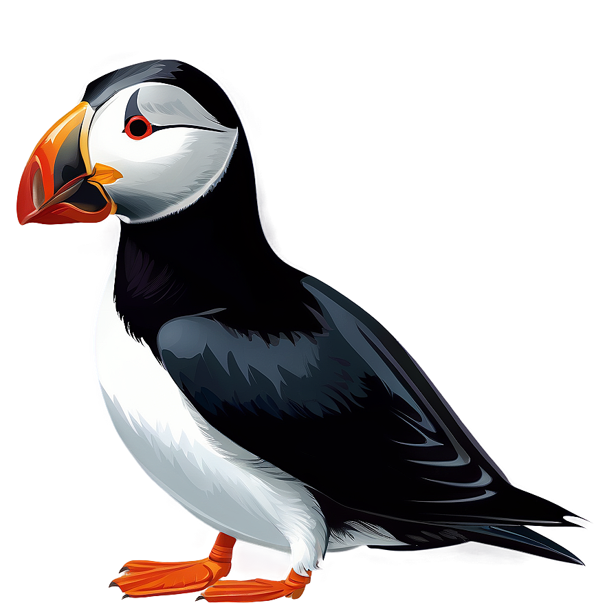 Stylized Puffin Graphic Png Kry5