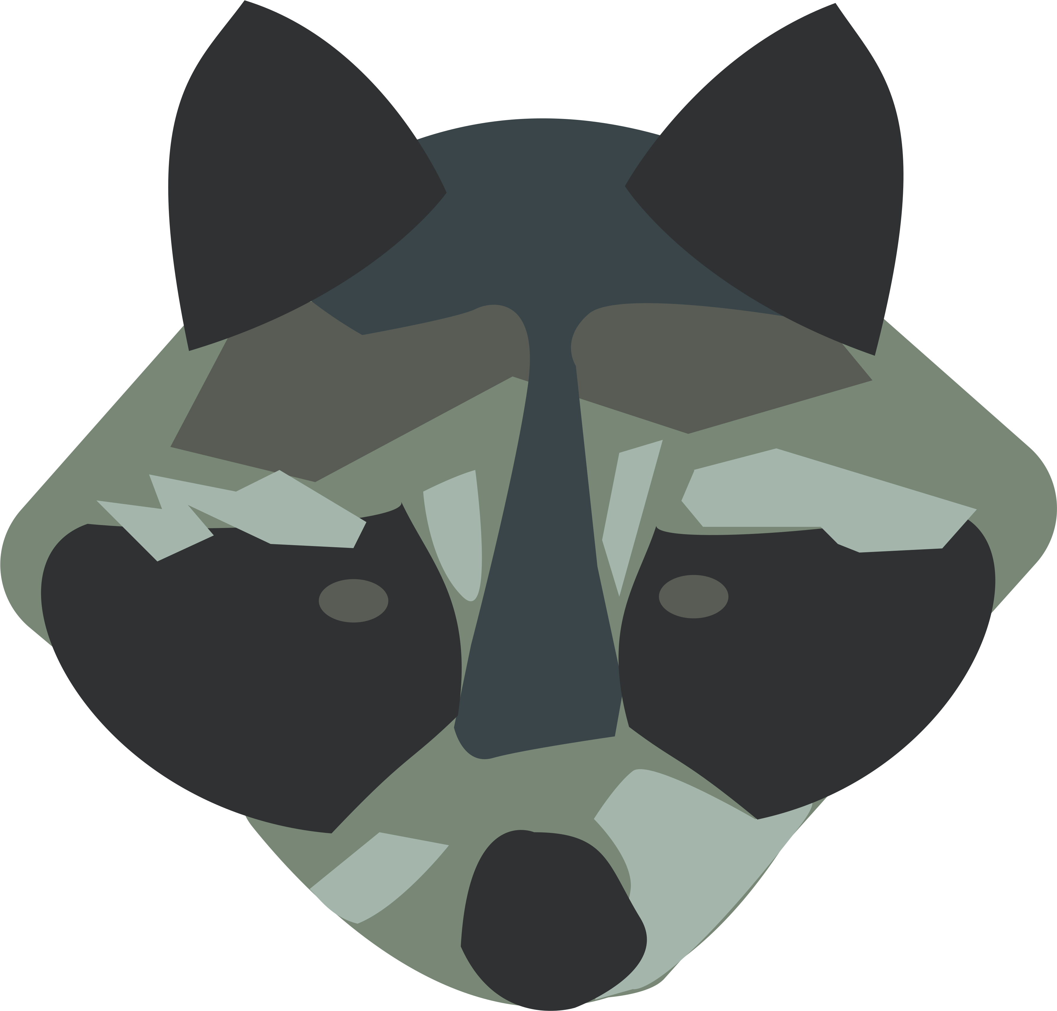 Stylized Raccoon Face Graphic