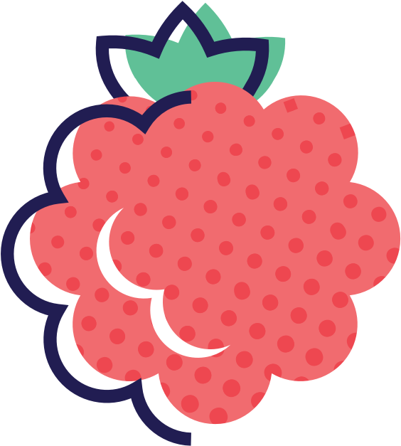 Stylized Raspberry Illustration