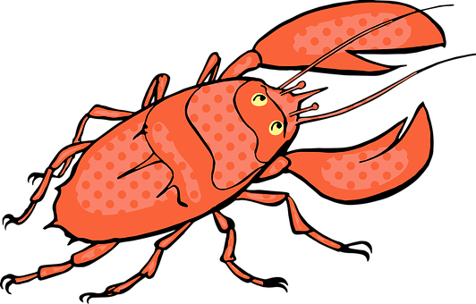 Stylized Red Lobster Illustration