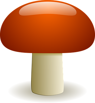 Stylized Red Mushroom Illustration