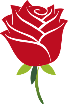 Stylized Red Rose Graphic