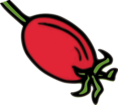 Stylized Red Rose Hip Illustration