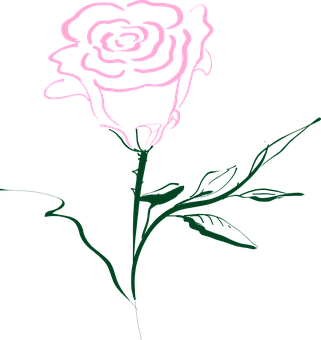 Stylized Rose Line Art