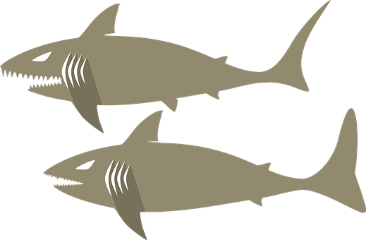 Stylized Sharks Vector Illustration