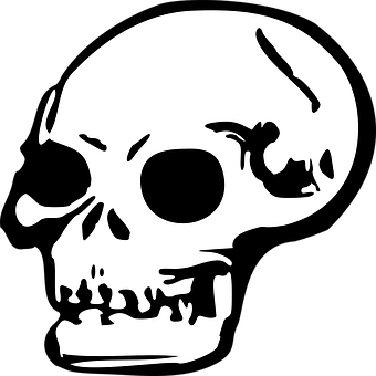 Stylized Skull Graphic