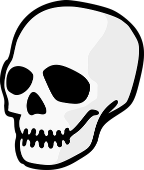 Stylized Skull Graphic