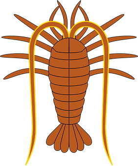 Stylized Trilobite Illustration