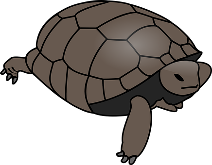 Stylized Turtle Illustration