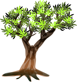 Stylized Vector Olive Tree