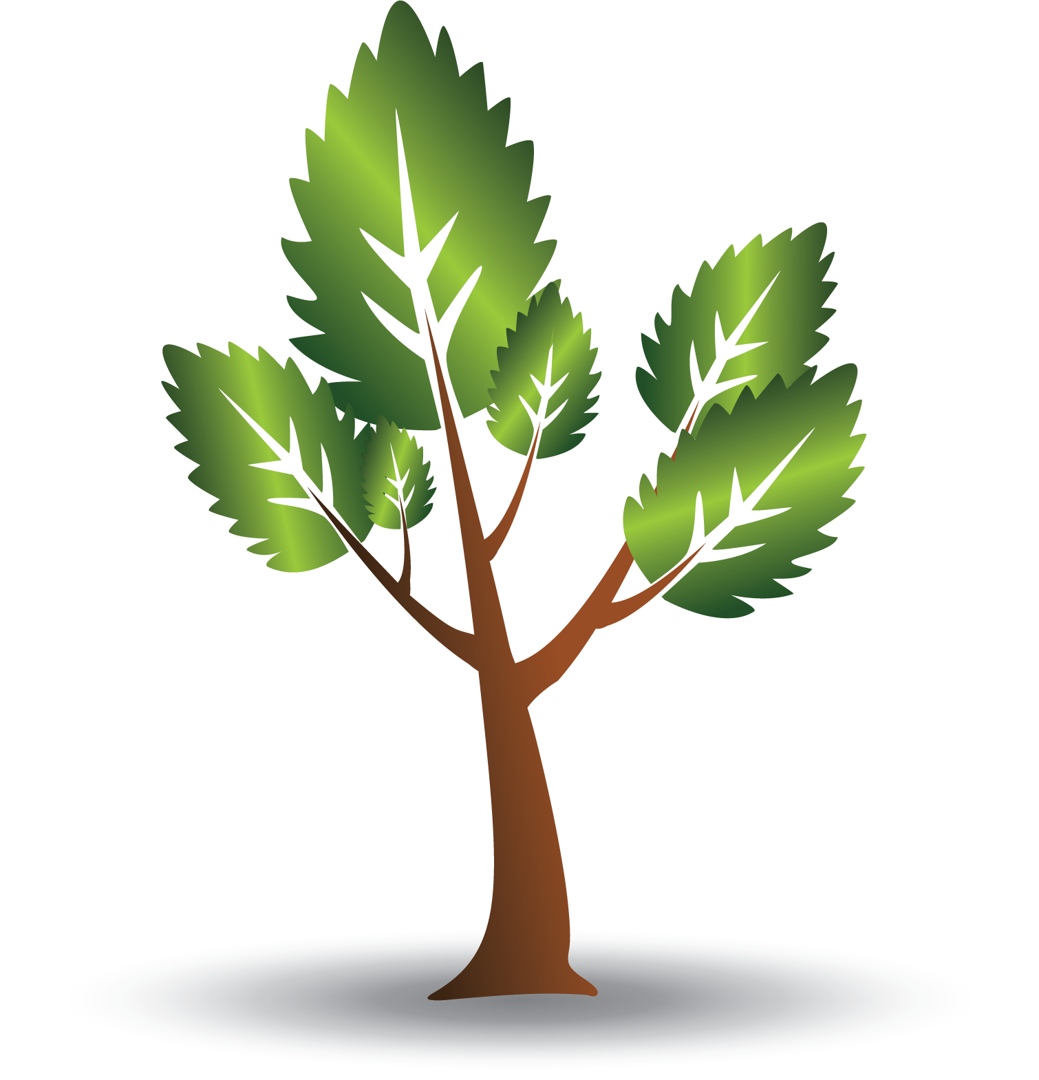 Stylized Vector Tree Illustration