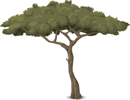 Stylized Vector Tree Illustration