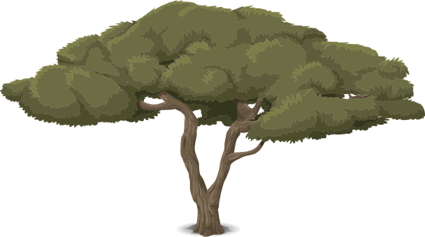 Stylized Vector Tree Illustration