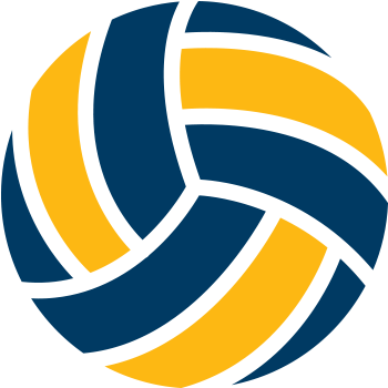 Stylized Volleyball Logo Design