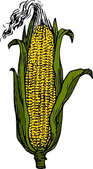 Stylized Yellow Corn Ear