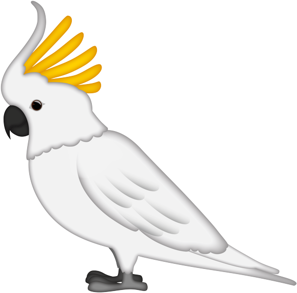 Sulphur Crested Cockatoo Illustration