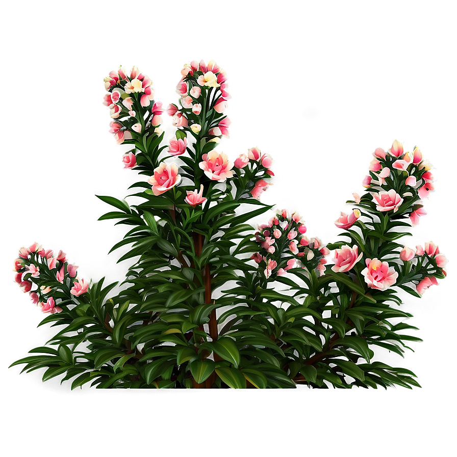 Summer Bloom Bush Png 29