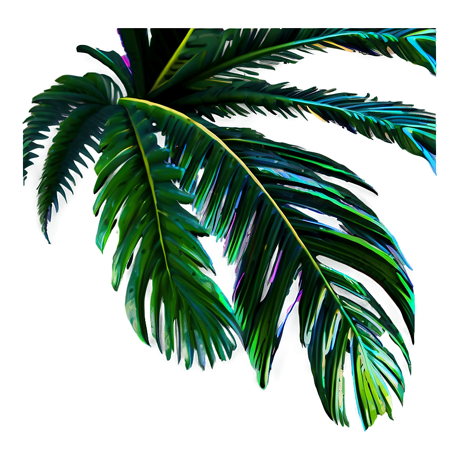 Summer Palm Leaves Png Caq